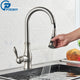 Robinet de Cuisine Brossé avec Douchette Extractible