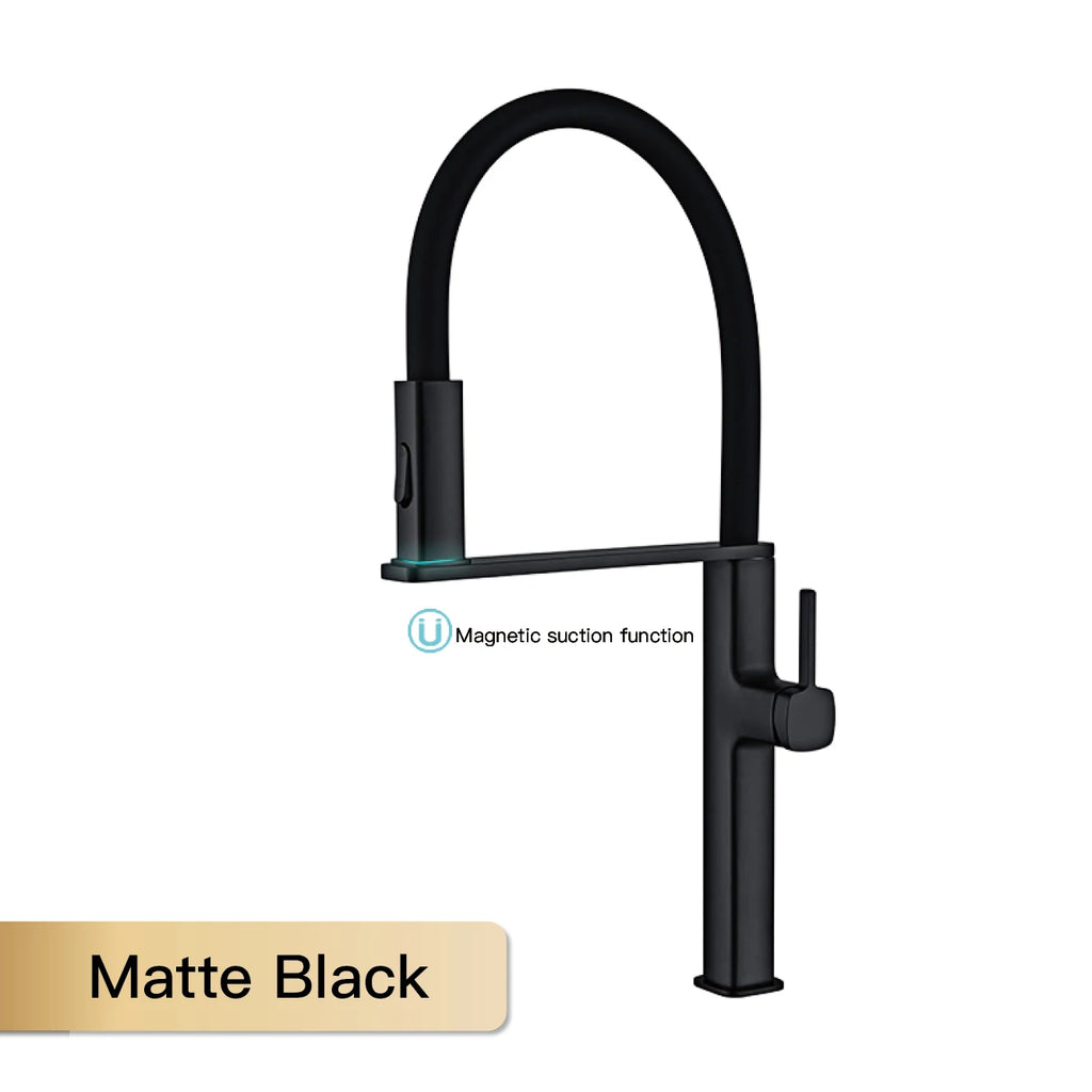 Robinet de Cuisine Noir Mat à Douchette Extensible