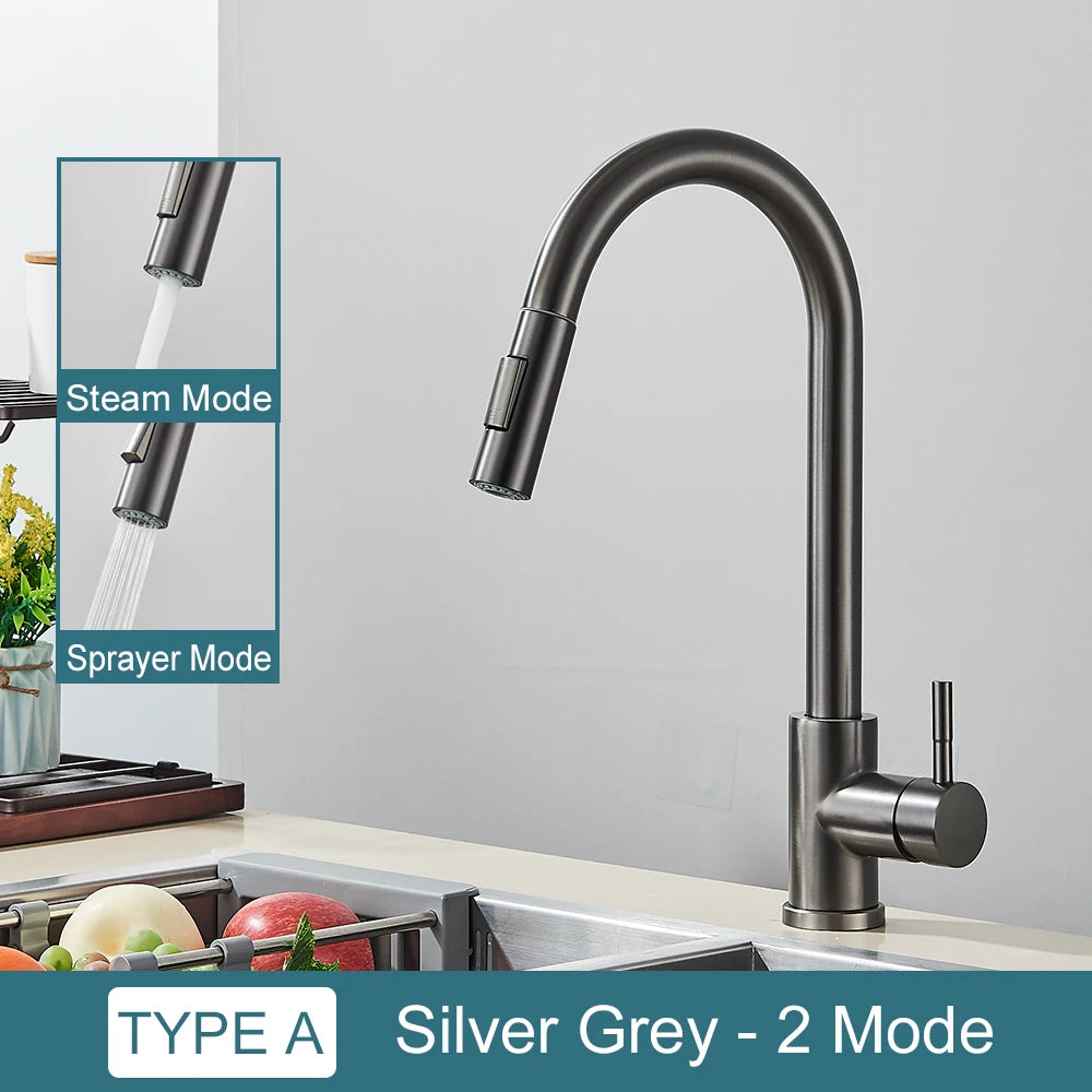 Robinet de Cuisine Moderne Gris Argent avec Douchette 2 Modes
