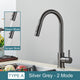 Robinet de Cuisine Moderne Gris Argent avec Douchette 2 Modes