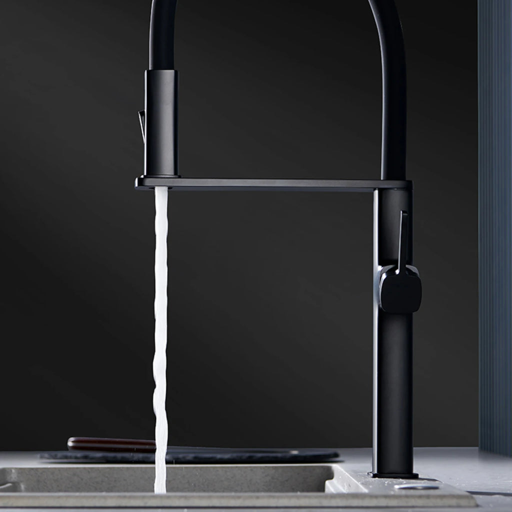 Robinet de Cuisine Noir Mat à Douchette Extensible