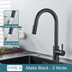 Mitigeur de Cuisine Moderne Noir Mat 2 Modes